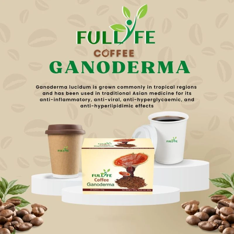 Fullife Ganoderma Coffee – Reishi Wellness Coffee – 20 Sachets - Recs-Medix Fullife ganoderma coffee – healthy herbal coffee with reishi mushroom