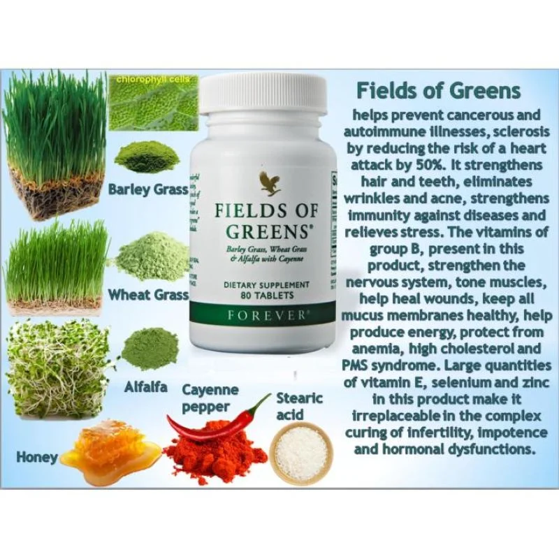 Forever Fields Of Greens – Daily Greens Support – 377Mg – 80 Tablets - Recs-Medix Fields of greens - superfood supplement for detox, energy, and vitality