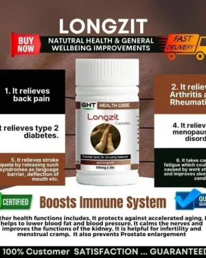Longzit Capsule – Natural Herbal Remedy for Prostate, Arthritis, Diabetes, and Menopause Support
