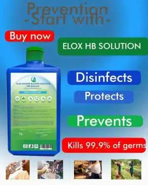 Elox HB Solution - Portable, Chemical-Free Water Disinfectant