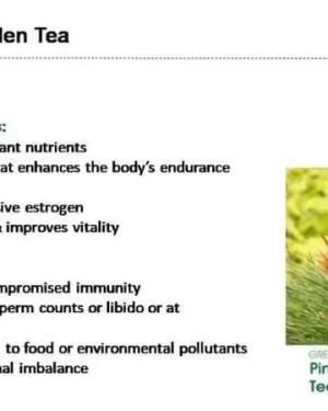 Green World Pine Pollen Tea – Superfood Herbal Tea for Vitality and Immune Support