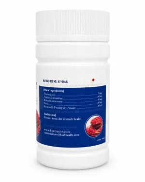 Kedi Gastrifort Capsule back label showing main ingredients and NAFDAC Reg No. A7-0446L, herbal stomach-wellness supplement.