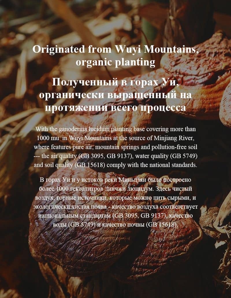 Morefuture Reishi Coffee – Ganoderma Wellness Coffee – 2.5G × 25 Sachets - Recs-Medix Morefuture reishi coffee – ganoderma wellness coffee – 2. 5g × 25 sachets - image 3