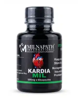 Supplements For Stroke Prevention And Brain Vessel Health - Recs-Medix Milnapath kardiamil – herbal cardiovascular wellness – 500mg – 60 capsules