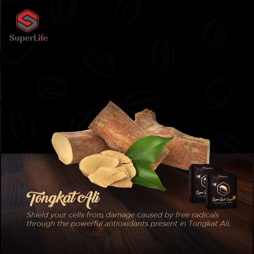 Superlife Super Root Coffee - Natural Libido And Energy Booster For Men And Women - Recs-Medix Superlife super root coffee - natural libido and energy booster for men and women - image 4