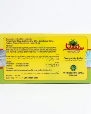Labaik Uric Acid Capsule rear carton showing herbal composition, dosage directions, precautions and manufacturer information